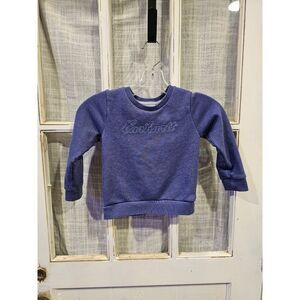 Carhartt Toddler Size 3 Blue Sweatshirt Pullover‎